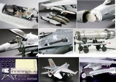 F-16CJ Fighting Falcon