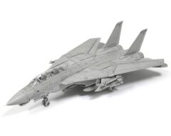 F-14 D Tomcat